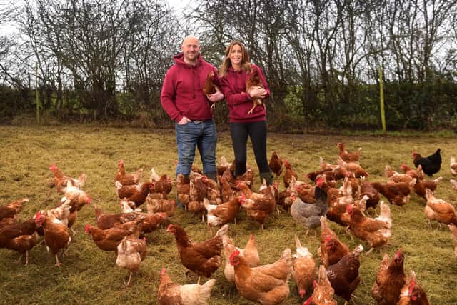 Chris Plume with his wife Sarah with their free range hens at Linthwaite Farm, Linthwaite Lane, Wentworth, Rotherham