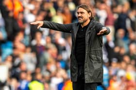 WARNING: Daniel Farke has told Leeds United to expect a reaction from Southampton