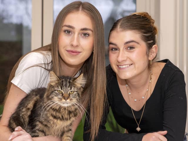 Phoebe and Imogen Kaye whose cat has gone missing but have adopted a lookalike feline