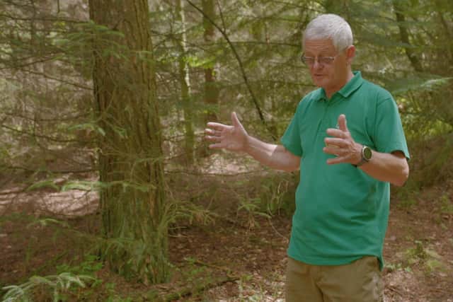 Brian Walker, Retired Forestry England Employee, walking through forest