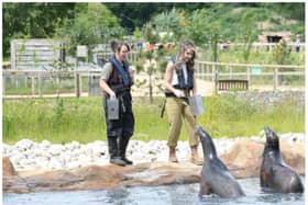 Jobs are at risk at Doncaster's Yorkshire Wildlife Park.