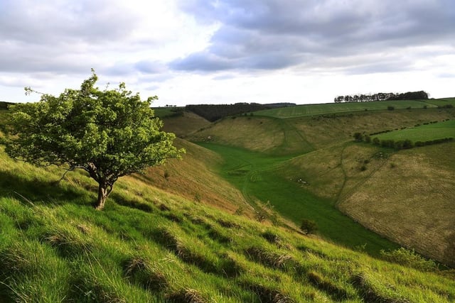 There is so much to explore along the 79-mile Yorkshire Wolds Way National Trail - with its stunning villages and hidden gems.