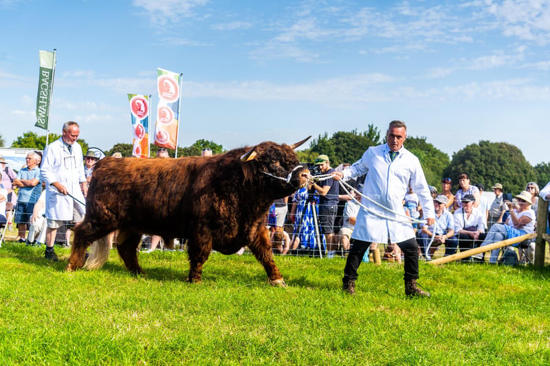 Rob and Dave Nicholson, owners of Cannon Hall Farm, near Barnsley, showing their two year old Highland Bull called Murphy which they won prize in Class 44 Highland Bull Any Age.
