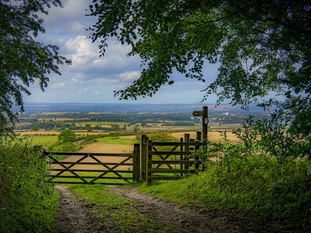 Close to Wintringham on the Yorkshire Wolds Way. PIC: Tony Johnson