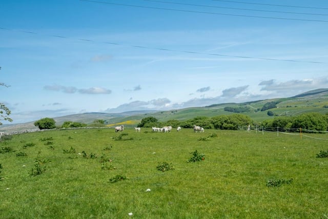 The view over fields to Penyghent