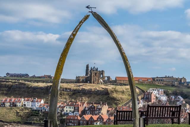 Whitby. (Pic credit: James Hardisty)