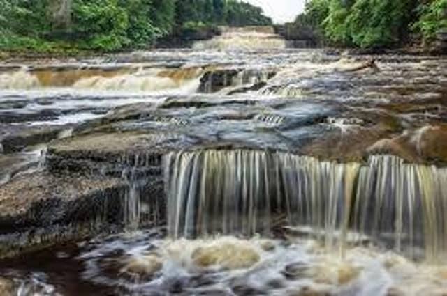 Eight people have fallen ill after paddling in Aysgarth Falls according to campaigners