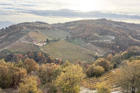 A trip to Piedmont in Italy could save your Valentine's Day
