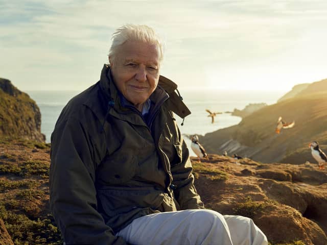 Sir David Attenborough, filming for Wild Isles series, next to Common puffins on Skomer Island, off Pembrokeshire coast, Wales. (Photo credit: Alex Board/PA Wire)