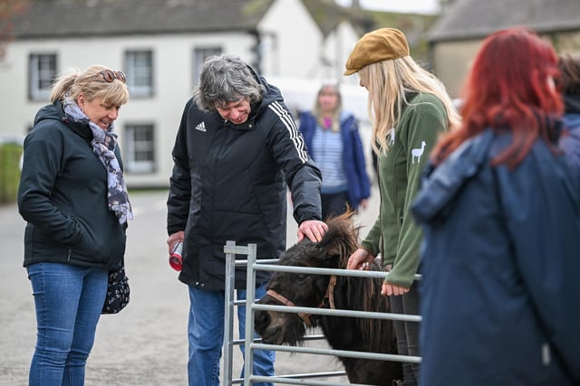 Visitors to the event got to go behind the scenes at some of the top stables in the country