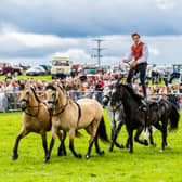 The 109th annual Wensleydale Agricultural Show. (Pic credit: James Hardisty)