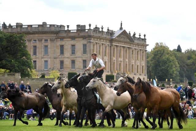 Chatsworth County Fair Atkinson Action Horses 4th September 2026