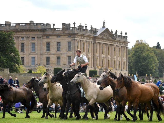 Chatsworth County Fair Atkinson Action Horses 4th September 2026