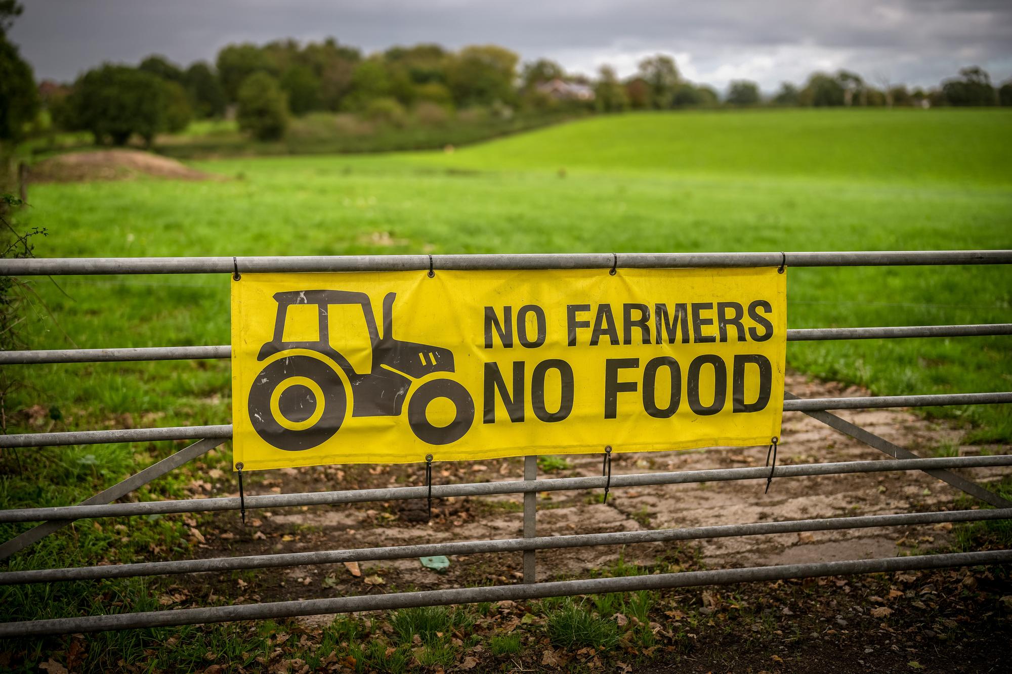 ​SFI shortfall on budget ‘could be the final straw’