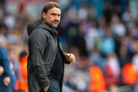 KILLER MOOD: Daniel Farke says he was ready to murder after Leeds United lost at Southampton