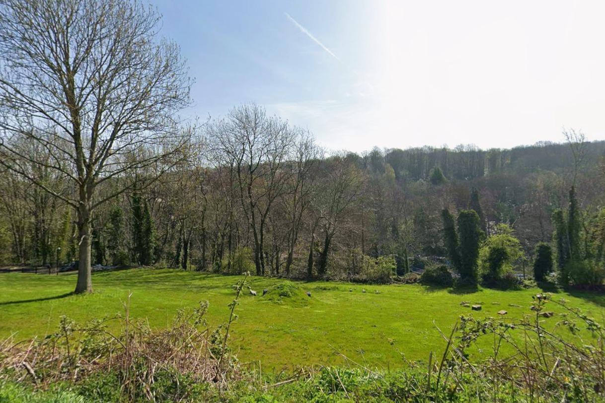 Green belt land in Yorkshire set to be turned into dog field after gaining planning approval