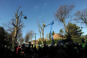 Tree protests continue on Kenwood Road in the Nether Edge area of Sheffield in 2018. PIC: Scott Merrylees