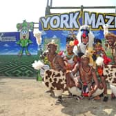 The Mighty Zulu Nation – dressed in traditional Zulu costumes in a tribute to the film The Lion King at the York Maze. (Pic credit: Tony Johnson)
