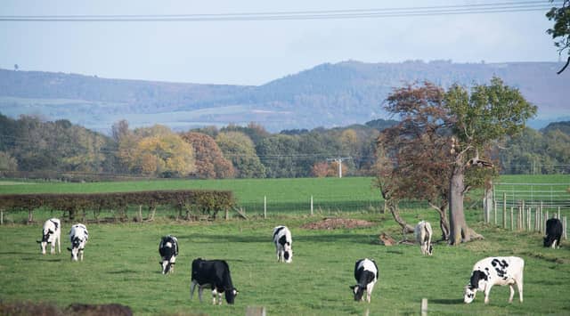 One of the biggest issues highlighted by the commission was the need to tackle the critical lack of affordable housing in North Yorkshire’s rural communities.