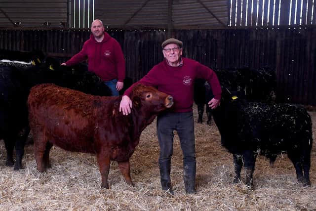 Chris Plume with his dad Richard and some of the Dexters at Linthwaite Farm