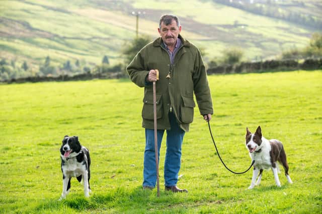 Ian Ibbotson, Chairman of the Yorkshire Sheepdog Society with his dogs Sal and Rock.