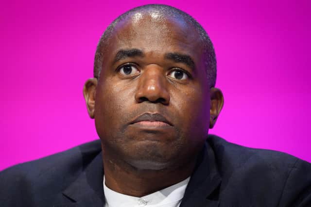 David Lammy is Labour's Shadow Foreign Secretary. PIC: Leon Neal/Getty Images