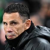 Gus Poyet is currently in charge of the Greece national team. Image: Charles McQuillan/Getty Images