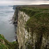 RSPB Bempton Cliffs where “Albie”, the only albatross in the Northern Hemisphere, returned to last year.