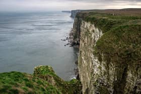 RSPB Bempton Cliffs where “Albie”, the only albatross in the Northern Hemisphere, returned to last year.