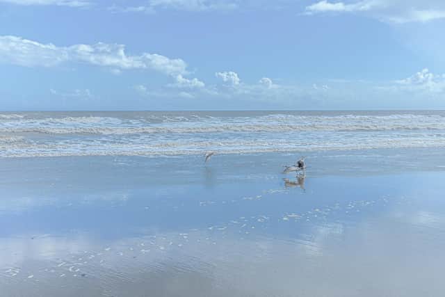 Hornsea, A Day at the Seaside is a photographic exhibition by Steve Morantz. It is part of a larger project Holderness Waveforms: Sea, Sand & Sky. Steve has captured
images for this project over the last year.