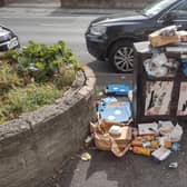 Liberal Democrat activist Andrew Mortimer with a bin overflowing with rubbish in Hull Road, York.