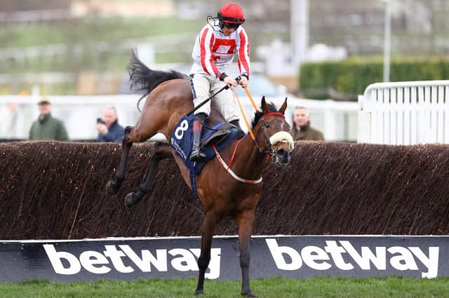 Famous win: Sam Twiston-Davies riding The Real Whacker clears the final fence to win the Brown Advisory Novices' Chase last spring.
(Photo by Michael Steele/Getty Images)