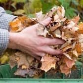 Residents in York will be charged for garden collection waste under new plans