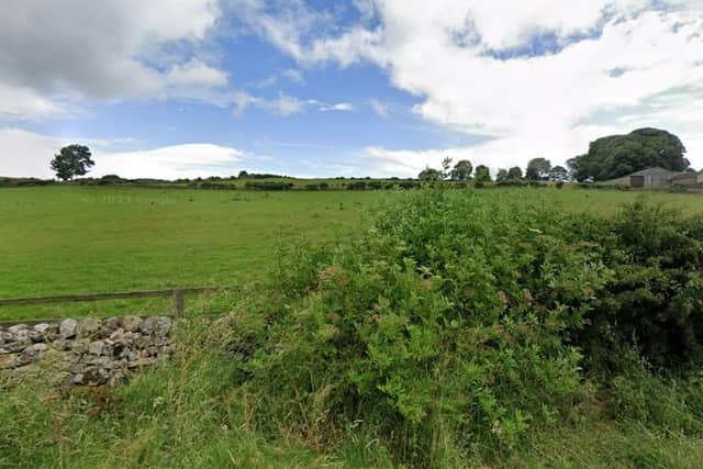Land off Hurgill Road, Richmond, close to where Zetland Estates wants to develop into a housing estate Picture: Google