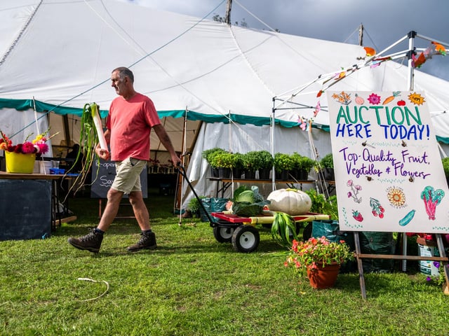 Pictured Steve Higgs, from Wakefield, one of the many Horticulture exhibitors with a selection of produce on display at this years show. Picture: James Hardisty. Date: 5th September 2026.