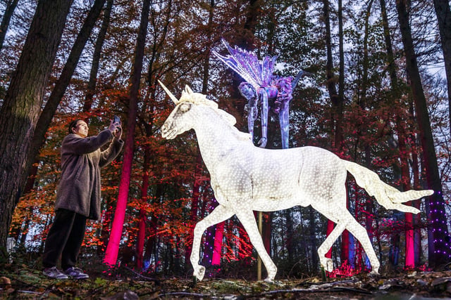 A unicorn feature adds an air of mystical magic to the park.
