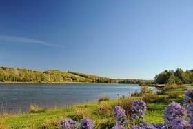 Residents are being asked to have their say on improvements at Rother Valley Country Park.