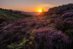 Purple flowering heather at sunset on Ilkley Moor.
Picture Bruce Rollinson
Technical details: Nikon D6, 24-70mm Nikkor lens, 125th sec @f8, 400iso.