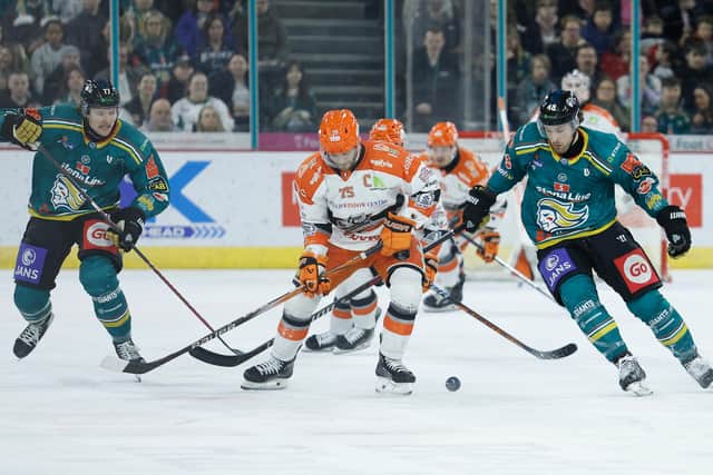 LEADING THE LINE: Sheffield Steelers' captain Robert Dowd, battles with Belfast Giants' Oliver Cooper and Greg Printz on Friday night. Picture: Philip Magowan/Press Eye/EIHL Media
