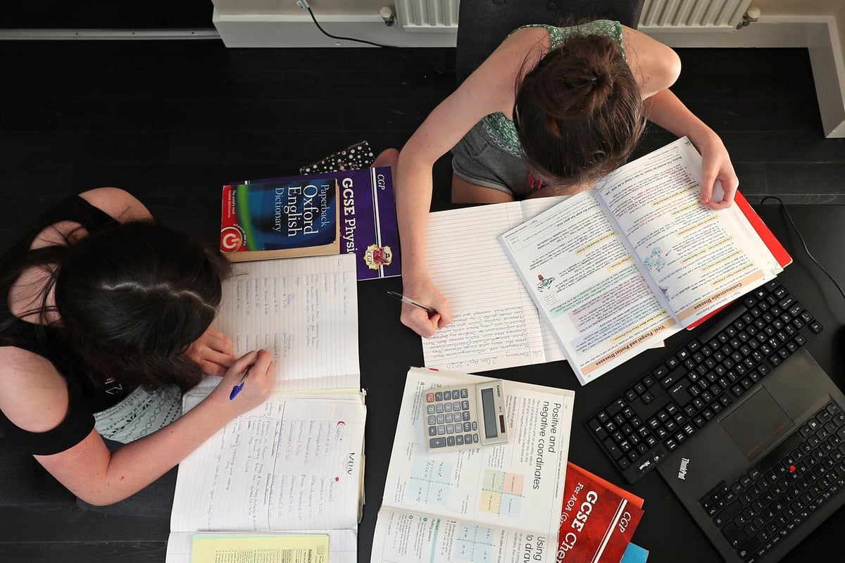 Beyond the schoolgates: The skyrocketing demand for home education in Hull and East Yorkshire