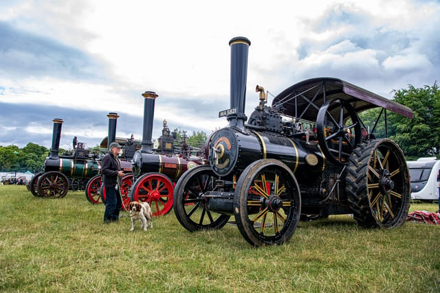 A visitor looks at the traction engines on show at Duncombe Park Steam Rally.
