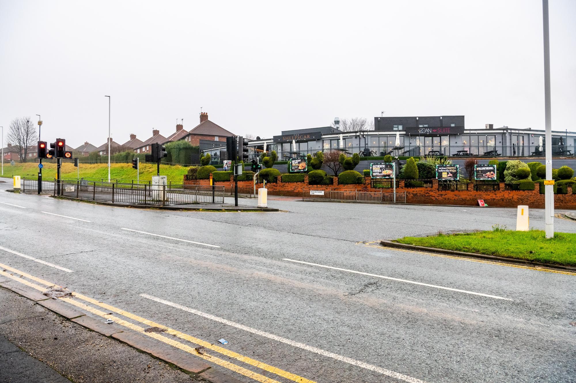 Disappointing to see Leeds City Council mowing wildflowers on central reservations - Vimarsana News