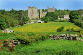 A field of buttercups in front of Bolton castle in Wensleydale. (Pic credit: Gary Longbottom)
