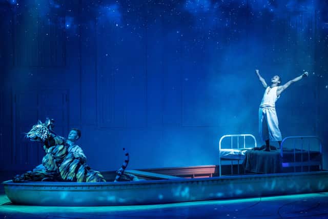 Life of Pi is at Sheffield's Lyceum Theatre this week. Picture: Johan Persson