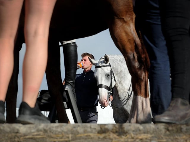 A man takes a break with the horses at the show