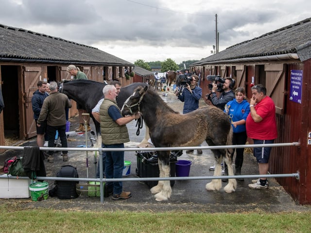 Channel 5 filming The Yorkshire Vet on the first day of the Great Yorkshire Show in Harrogate