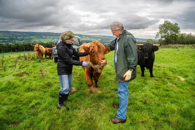 Tim Durham and farmer Bridget Jill Thornton-Berry run The Wensleydale Experience near Leyburn, where people are able to experiencing life on a farm in Wensleydale