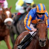 SAME AGAIN PLEASE: Ryan Moore and Paddington win the St James's Palace Stakes at Royal Ascot in June. They will be hoping to repeat that success in the Juddmonte International at York on Wednesday. Picture: Tom Dulat/Getty Images