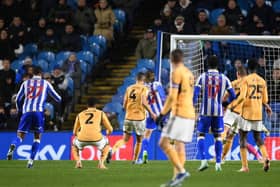 TURNING POINT: Jeff Hendrick's stoppage-time equaliser for Sheffield Wednesday against Leicester City changed the course of Danny Rohl's first season as manager