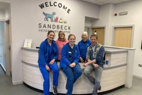 Julian Norton with colleagues at Sandbeck Veterinary Centre. (Pic credit: Channel 5)